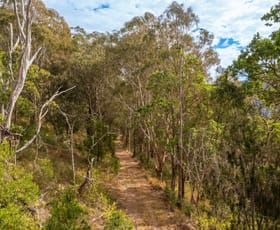 Rural / Farming commercial property for sale at Lot 36 8416 Oxley Highway Mount Seaview NSW 2446