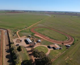 Rural / Farming commercial property sold at 680 Gilbert Road Coleambally NSW 2707