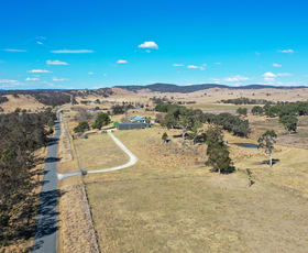 Rural / Farming commercial property sold at 65 Barney Downs Road Tenterfield NSW 2372