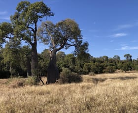 Rural / Farming commercial property sold at Bunya Mountains QLD 4405