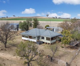 Rural / Farming commercial property sold at 1862 Kings Plains Road Inverell NSW 2360