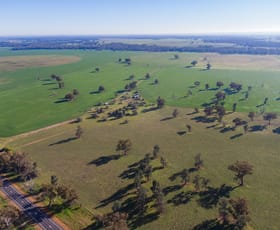Rural / Farming commercial property sold at 'Long Plain', 3848 Sturt Highway Bulgary NSW 2650