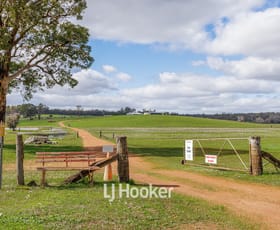 Rural / Farming commercial property sold at 1591/ Yourdamung Road Palmer WA 6225