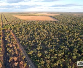 Rural / Farming commercial property for sale at 4320 Stuart Highway Katherine NT 0850