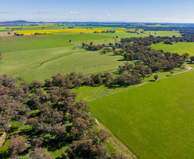 Rural / Farming commercial property for sale at 6 Dudauman Road Stockinbingal NSW 2725