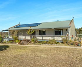 Rural / Farming commercial property leased at 302 Albatross Road Nowra Hill NSW 2540