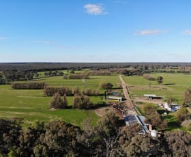 Rural / Farming commercial property for sale at 74 Island School Road Gunbower VIC 3566