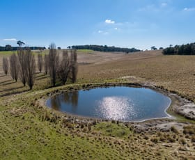 Rural / Farming commercial property sold at 1212 Dog Rocks Road Essington NSW 2787