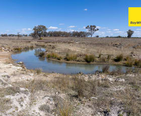 Rural / Farming commercial property for sale at Lot 75 Wells Crossing Road Inverell NSW 2360