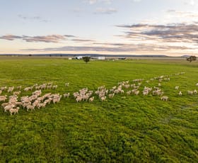 Rural / Farming commercial property for sale at 330 Hulmes Road Leeton NSW 2705