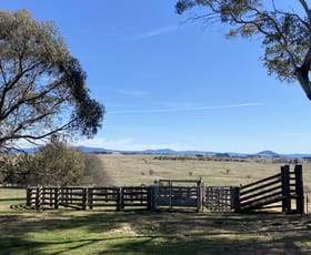 Rural / Farming commercial property sold at 473 Tudor Valley Braidwood NSW 2622