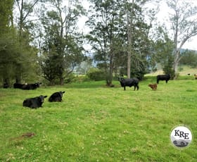 Rural / Farming commercial property for sale at 35 Phelps Road Kyogle NSW 2474