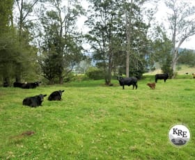 Rural / Farming commercial property for sale at 35 Phelps Road Kyogle NSW 2474