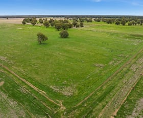 Rural / Farming commercial property for sale at 10935 Sturt Highway Narrandera NSW 2700