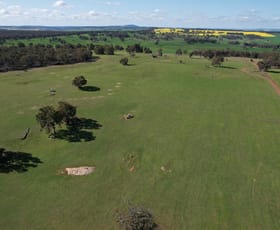 Rural / Farming commercial property sold at Lot 15221 Helena Road York WA 6302