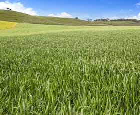 Rural / Farming commercial property sold at 'Hills Block' Gants Hill Road Riverton SA 5412