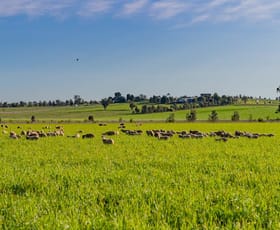 Rural / Farming commercial property for sale at Upside Farm, 104 Flowerdale Road Wagga Wagga NSW 2650