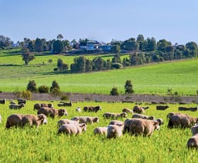 Rural / Farming commercial property for sale at Upside Farm, 104 Flowerdale Road Wagga Wagga NSW 2650