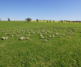 Rural / Farming commercial property for sale at Upside Farm, 104 Flowerdale Road Wagga Wagga NSW 2650