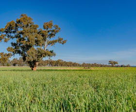 Rural / Farming commercial property for sale at Upside Farm, 104 Flowerdale Road Wagga Wagga NSW 2650