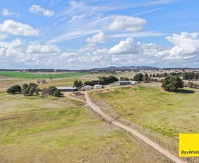 Rural / Farming commercial property for sale at 230 Taylors Creek Road Tarago NSW 2580