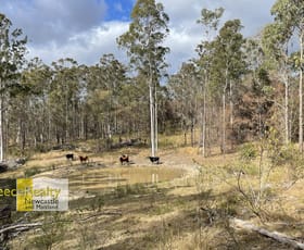 Rural / Farming commercial property sold at Lot 597 Willi Willi Road Temagog NSW 2440