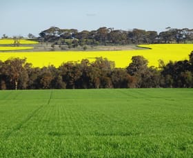 Rural / Farming commercial property sold at 340 Walkers Road Piesseville WA 6315