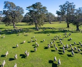 Rural / Farming commercial property for sale at 252 Wannon Nigretta Road Wannon VIC 3301