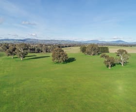 Rural / Farming commercial property for sale at Lot 2 Mt Buller & Lot 3 Pollards Mansfield VIC 3722