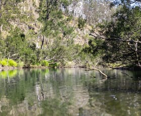 Rural / Farming commercial property sold at Lot 113 Paddys Flat Road Tooloom NSW 2475