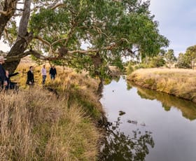 Rural / Farming commercial property for sale at "Riverview" 456 Ballyryan Road Boorowa NSW 2586