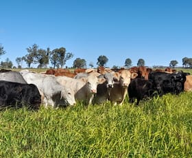 Rural / Farming commercial property sold at "Twin Rivers" Hawkwood Road Mundubbera QLD 4626