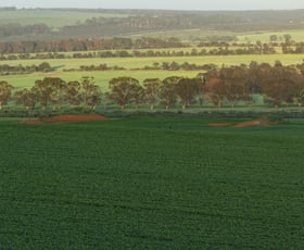 Rural / Farming commercial property for sale at 13946 Brand Highway Badgingarra WA 6521