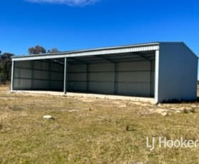 Rural / Farming commercial property for sale at 14 Onus Road Inverell NSW 2360