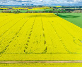 Rural / Farming commercial property sold at 252 Bethel Road Burrumbuttock NSW 2642