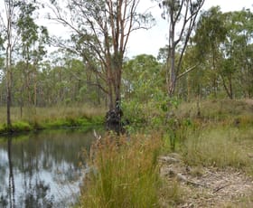 Rural / Farming commercial property sold at Lot 49 Blacksmith Lane Pratten QLD 4370