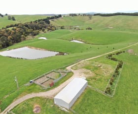 Rural / Farming commercial property sold at 375 Devils Pinch Road Toora VIC 3962