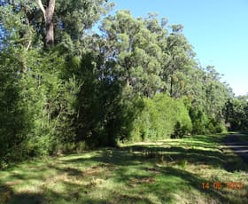 Rural / Farming commercial property sold at 450 Morris Track Lavers Hill VIC 3238