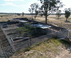 Rural / Farming commercial property for sale at Oaklodge Krugers Road Chinchilla QLD 4413