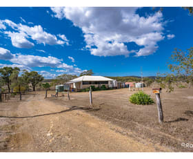 Rural / Farming commercial property sold at 113 Dendle Road Milman QLD 4702