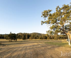 Rural / Farming commercial property for sale at Lot 1 Elderslie Road Mitchells Flat NSW 2330