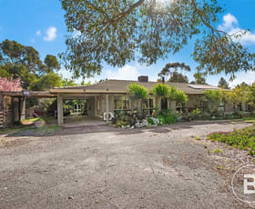 Rural / Farming commercial property sold at 3105 Ballarat-Maryborough Road Clunes VIC 3370