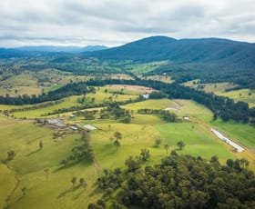 Rural / Farming commercial property sold at 826 Angledale Road Bega NSW 2550