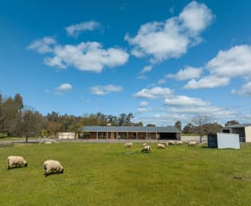Rural / Farming commercial property sold at 3858 Murchison-Violet Town Road Violet Town VIC 3669