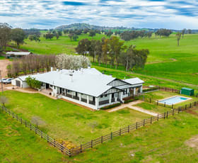 Rural / Farming commercial property sold at STONEHAVEN | 269 Stonehaven Road Holbrook NSW 2644