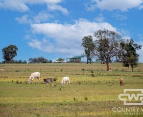 Rural / Farming commercial property for sale at 1461 Atholwood Road Bonshaw NSW 2361