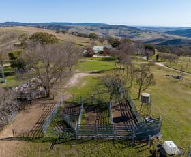 Rural / Farming commercial property sold at 189 Jerrys Meadow Road Sodwalls NSW 2790