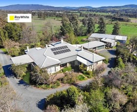 Rural / Farming commercial property sold at 91 Brungle Road Tumut NSW 2720