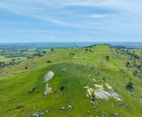 Rural / Farming commercial property sold at 383 Sheans Creek Road Sheans Creek VIC 3666