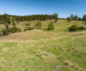 Rural / Farming commercial property for sale at Lot 162 Larsson Road Tunglebung NSW 2469